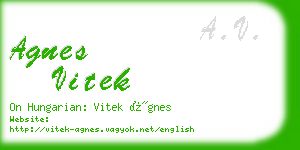 agnes vitek business card